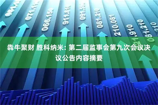 犇牛聚财 胜科纳米: 第二届监事会第九次会议决议公告内容摘要