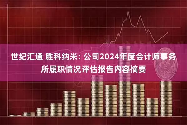 世纪汇通 胜科纳米: 公司2024年度会计师事务所履职情况评估报告内容摘要