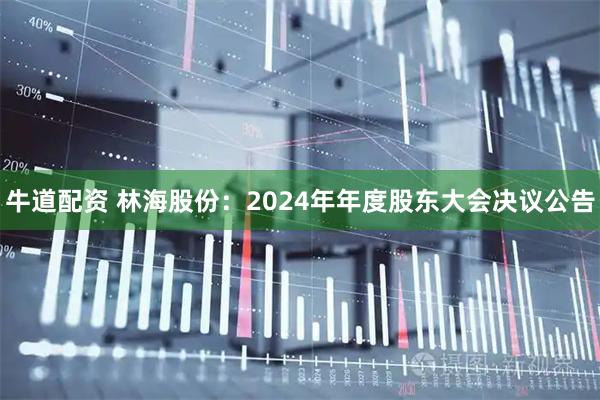 牛道配资 林海股份：2024年年度股东大会决议公告